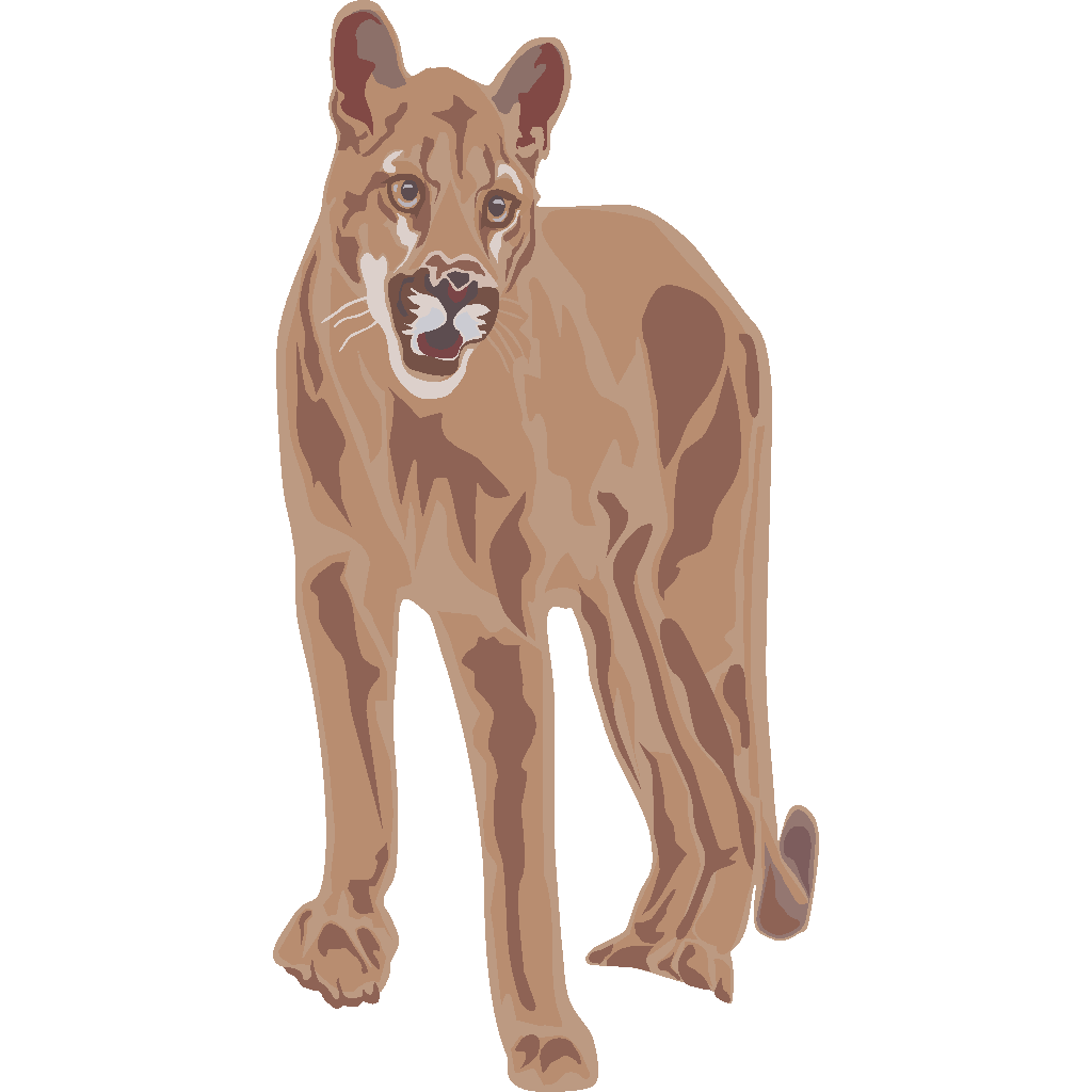 Cougar Art PNG, SVG Clip art for Web - Download Clip Art, PNG Icon Arts