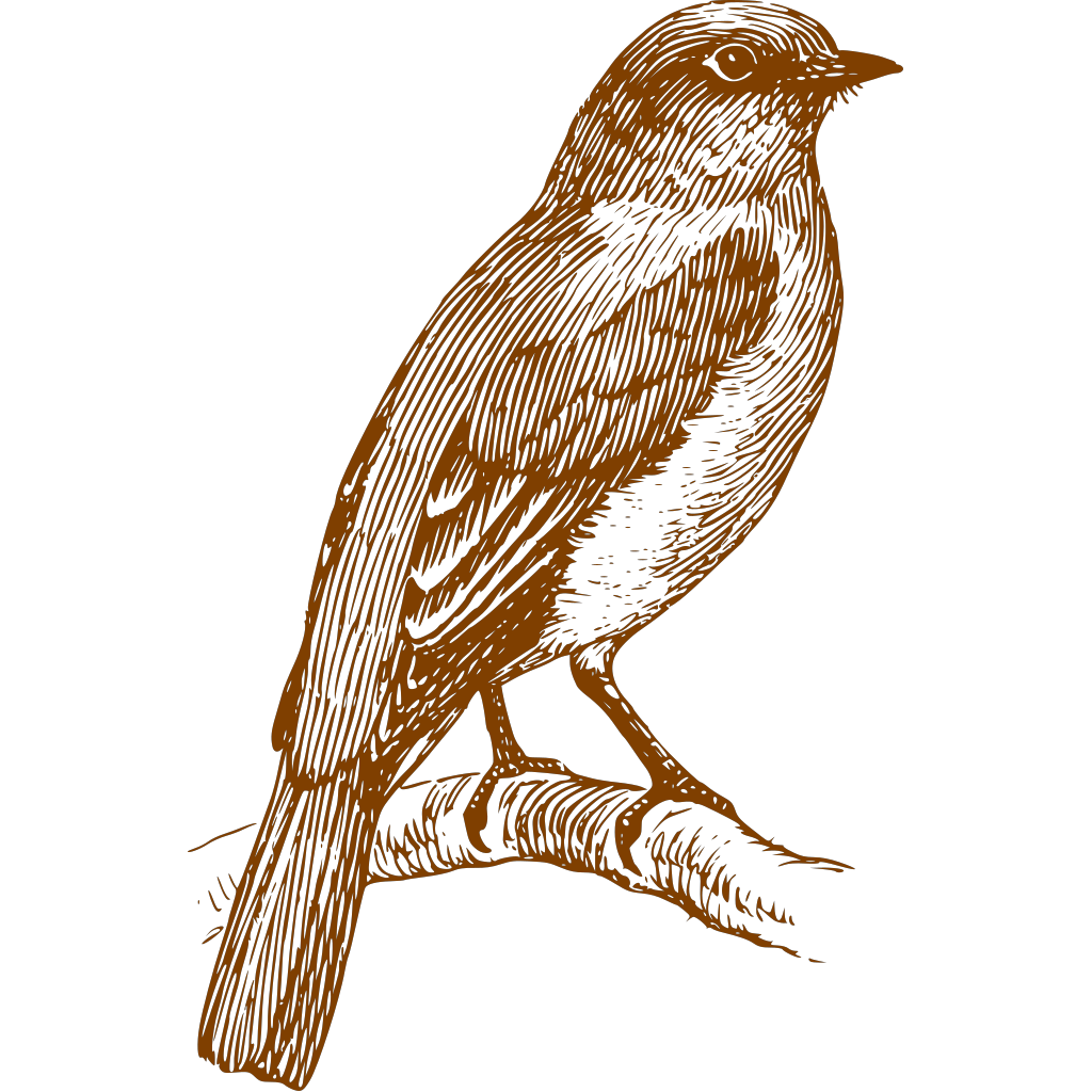 Bluebird PNG, SVG Clip art for Web - Download Clip Art, PNG Icon Arts