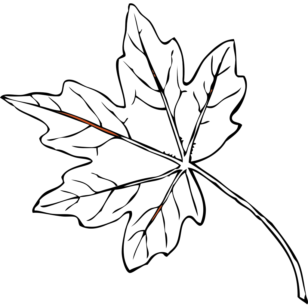 maple leaf clip art images - photo #49