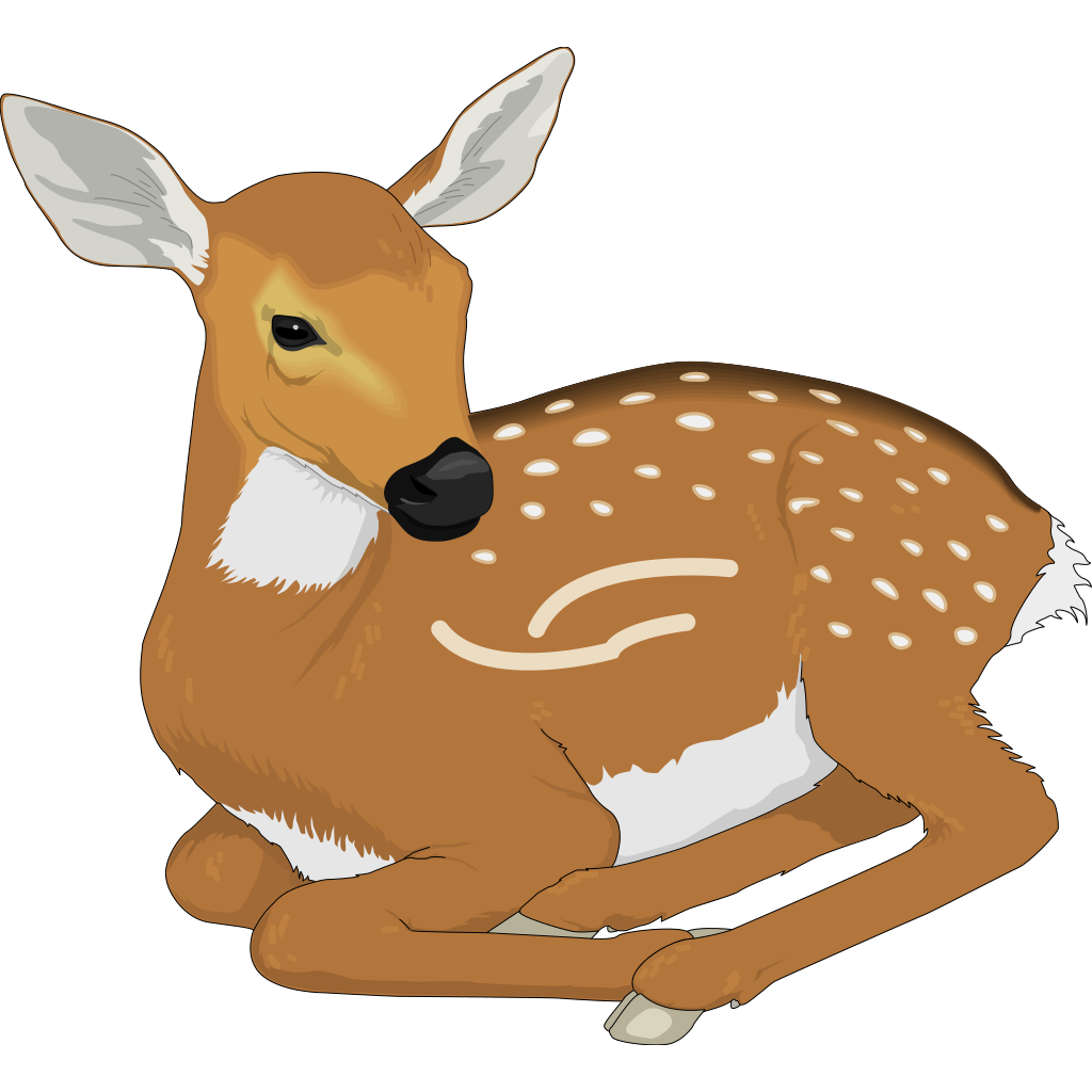 Resting Baby Deer PNG, SVG Clip art for Web Download