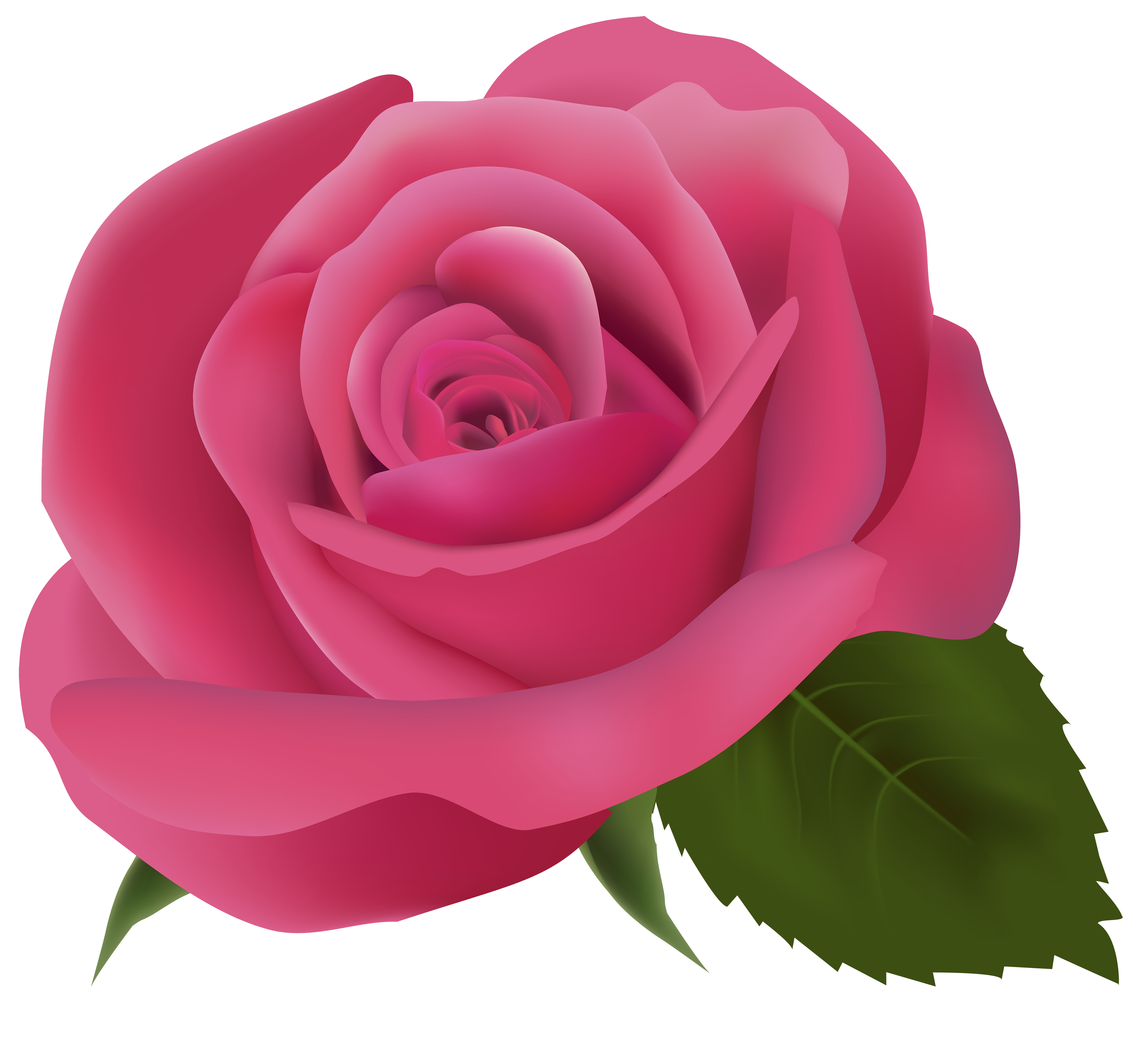 Pink Rose Transparent Background Png Svg Clip Art For Web Download