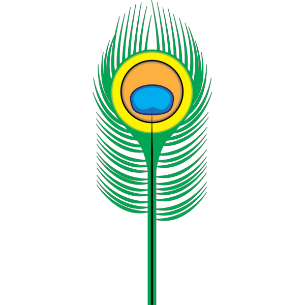 Peacock Feather PNG image