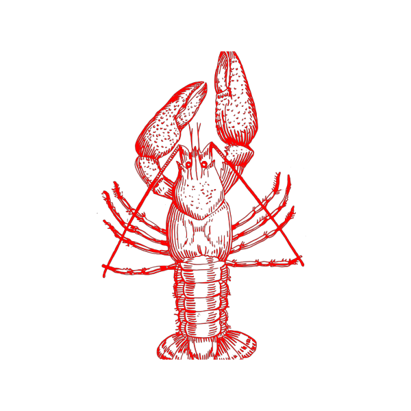 Crawfish (b And W) PNG, SVG Clip art for Web - Download Clip Art, PNG