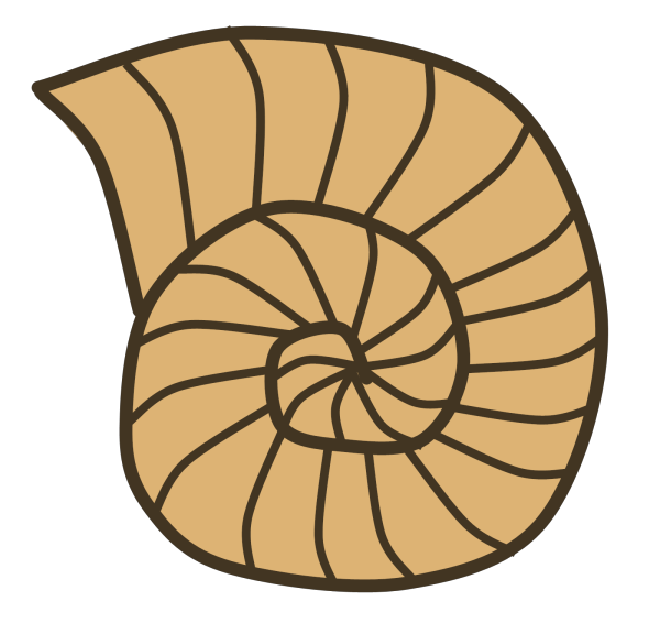 Sea Shell Silhouette PNG image