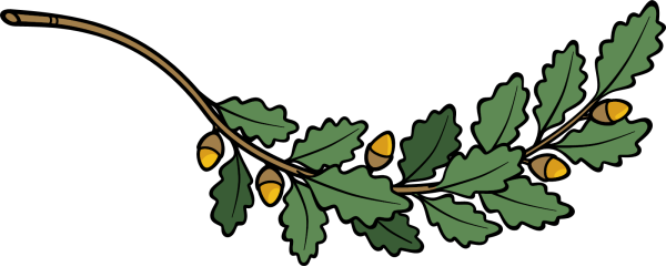 Branch Vine leaves PNG image