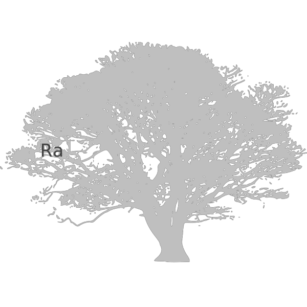 Bird Stand Tree Vine Silhouette PNG image