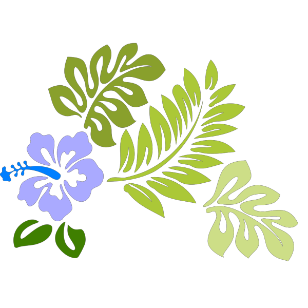 Hibiscus PNG image