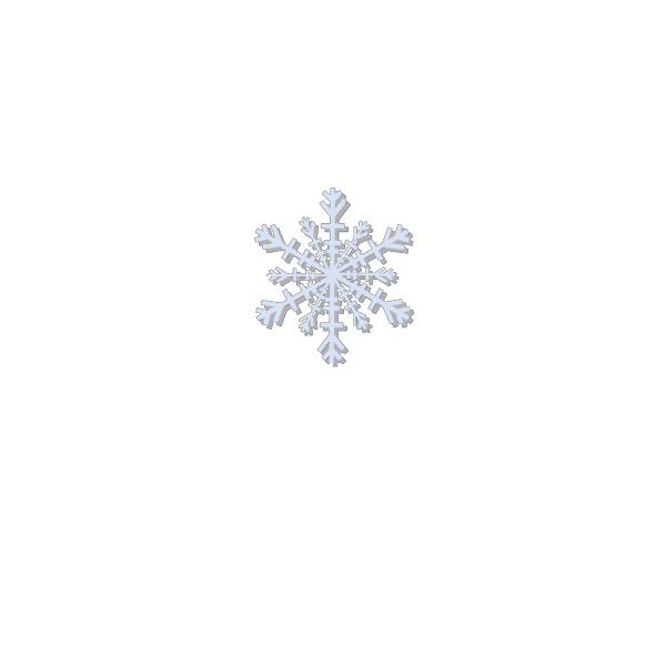Snow Flake PNG image