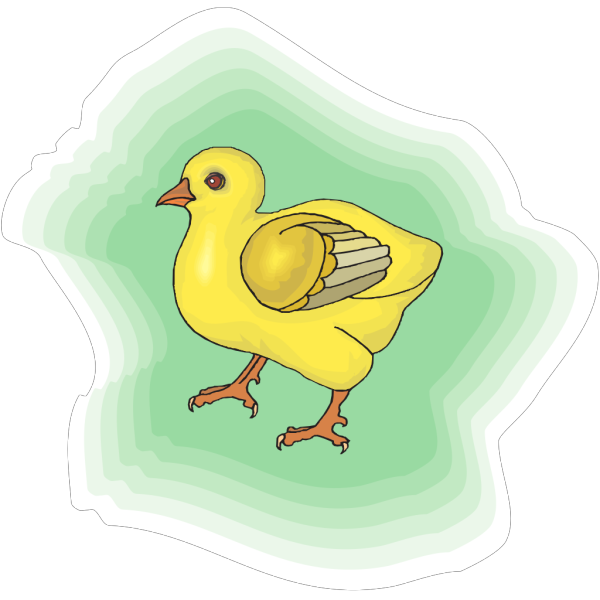 Baby Chick With Green Background PNG image