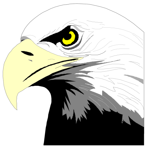 Bald Eagle Head PNG, SVG Clip art for Web - Download Clip Art, PNG Icon