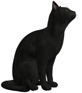 Black Cat PNG Photo PNG image
