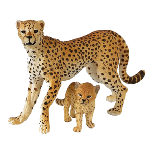 Cheetah PNG Free Download PNG image
