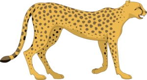 Cheetah PNG Photos PNG image