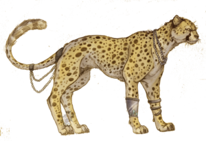 Cheetah PNG Picture PNG image