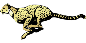 Cheetah Transparent PNG PNG image