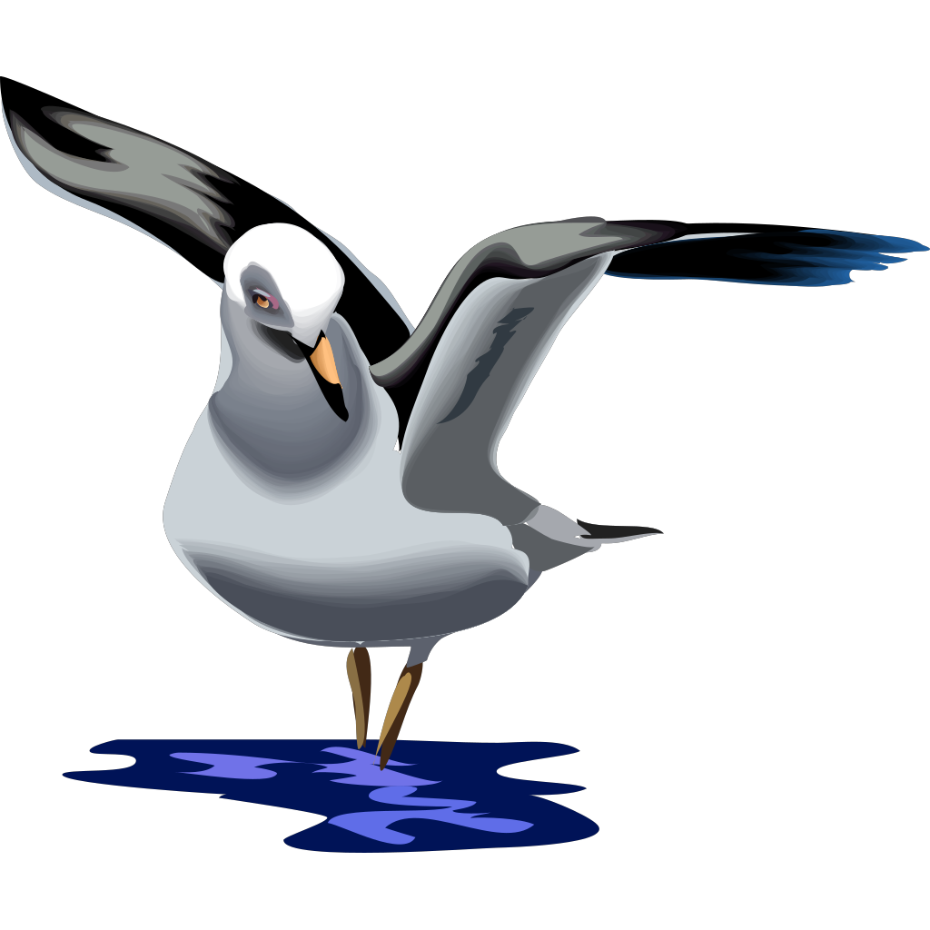 Landing Seagull PNG, SVG Clip art for Web - Download Clip Art, PNG Icon