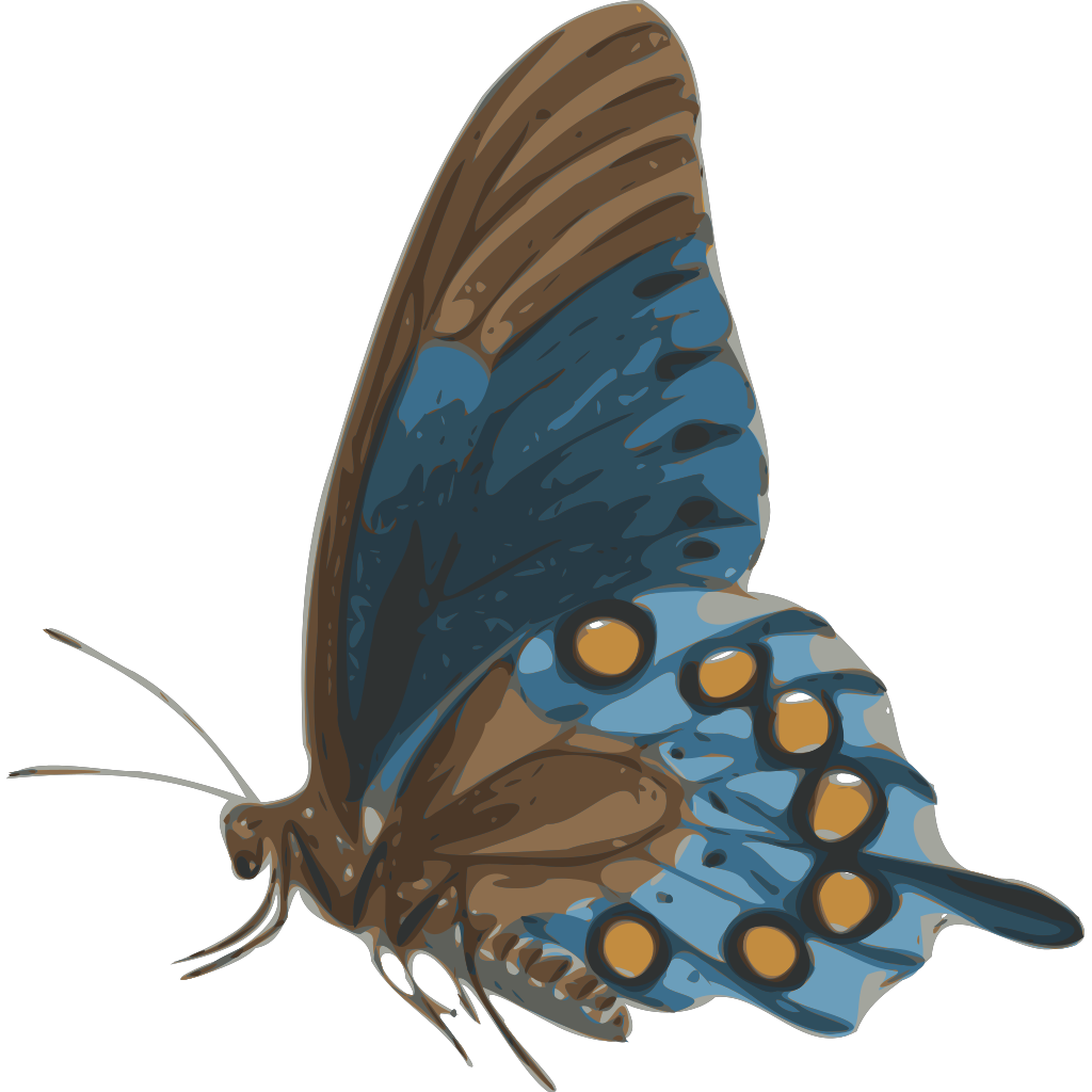 Download Simple Butterfly Wallpaper PNG, SVG Clip art for Web ...