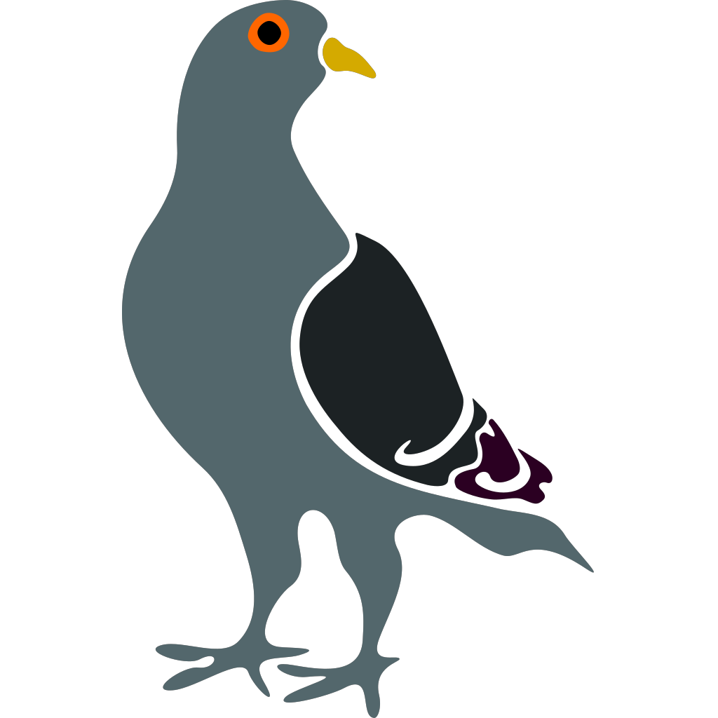 Голубь рисунок png