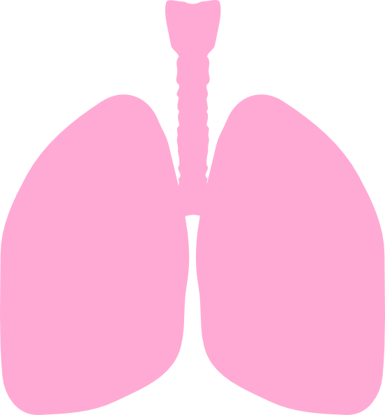 Free Free 188 Flower Lungs Svg SVG PNG EPS DXF File