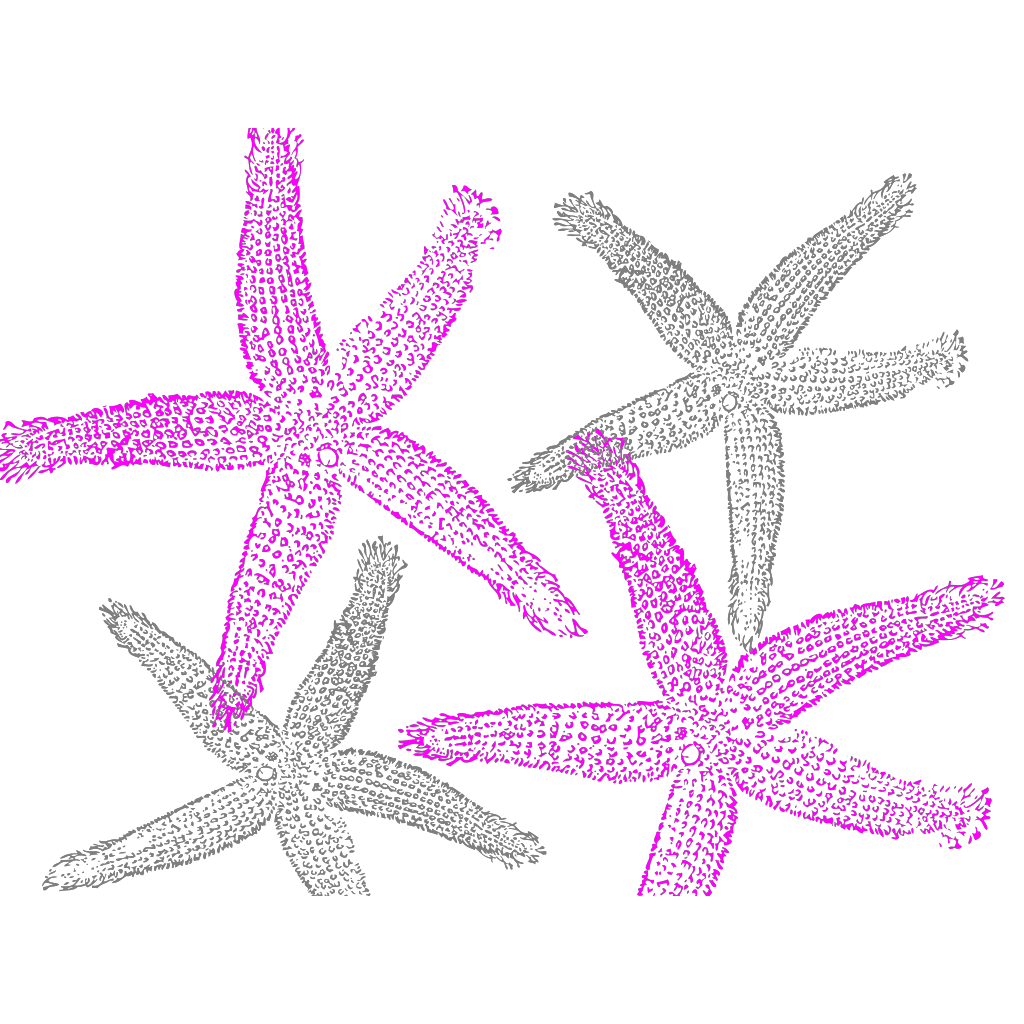 Download Starfish Prints PNG, SVG Clip art for Web - Download Clip ...