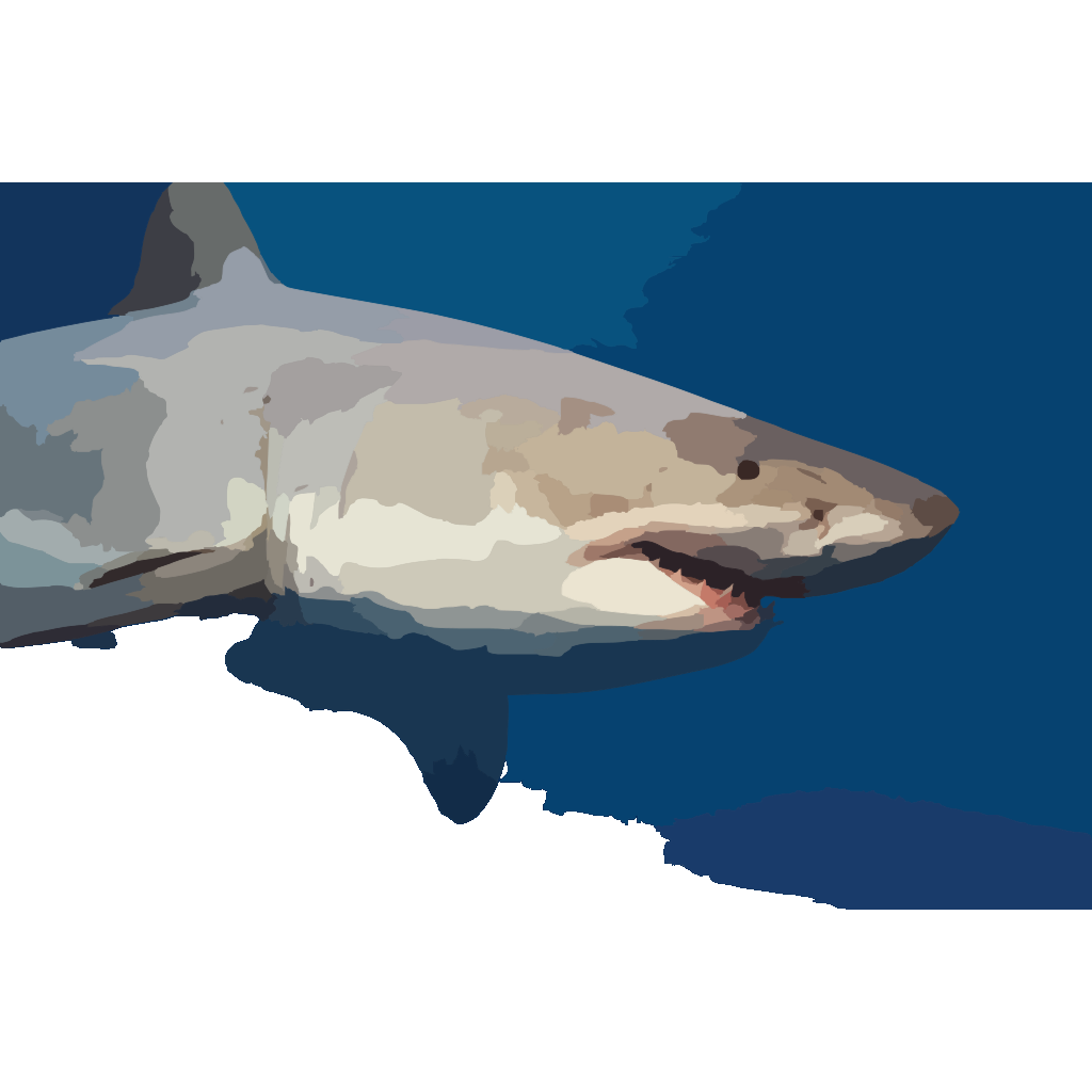 Free Free Shark Svg Free Download 722 SVG PNG EPS DXF File