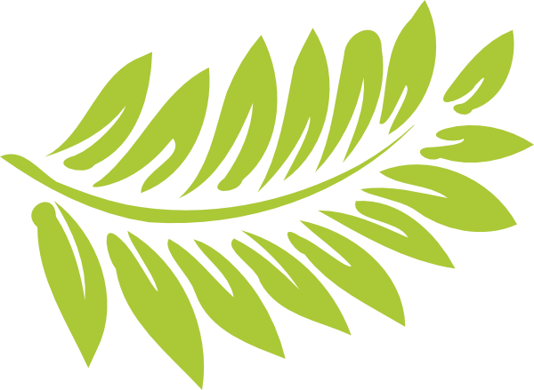 Fern Plant Png Svg Clip Art For Web Download Clip Art Png Icon Arts