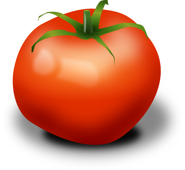 Tomato PNG, SVG Clip art for Web - Download Clip Art, PNG Icon Arts