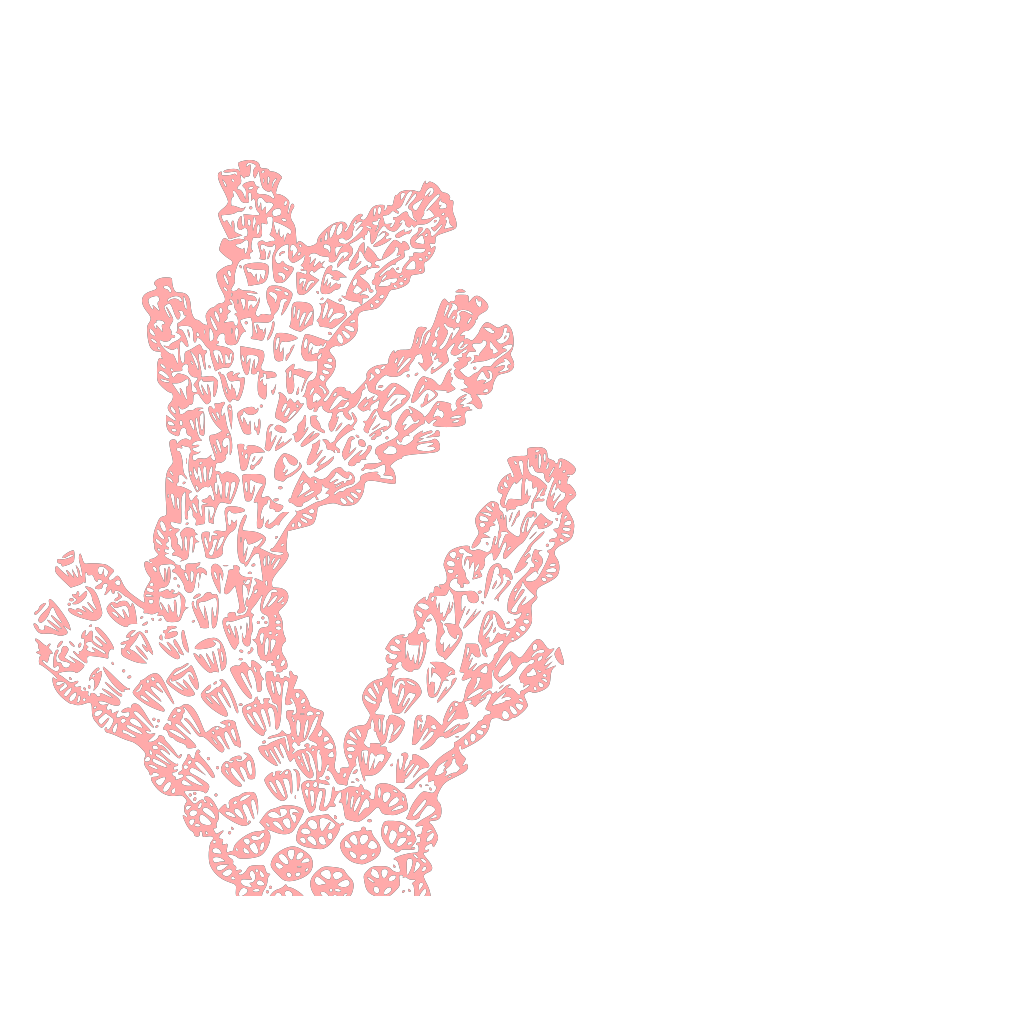 Coral Vintage Clip Art Graphicsfairy C PNG, SVG Clip art for Web