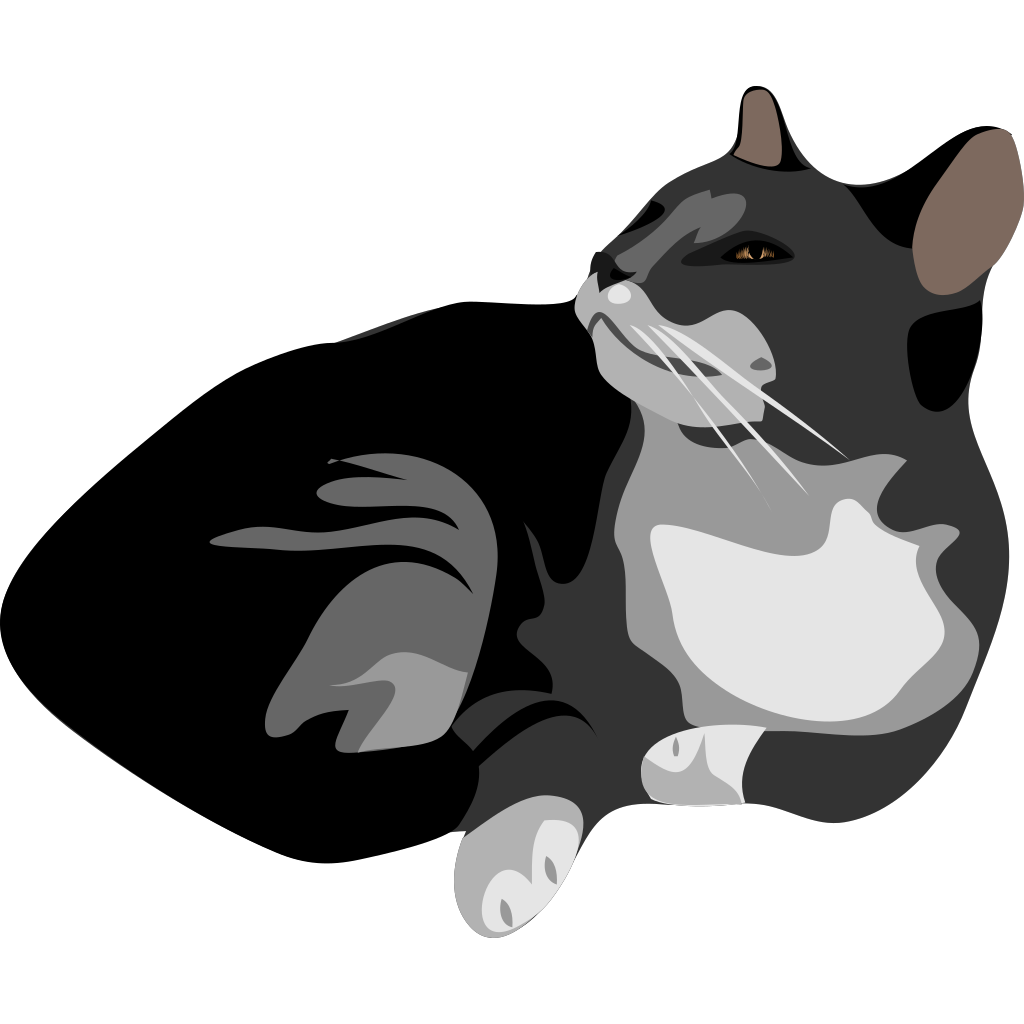 Gatto Cat PNG, SVG Clip art for Web Download Clip Art