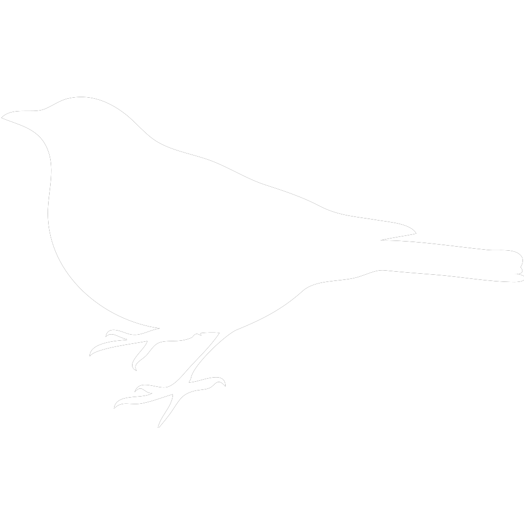 Bird PNG, SVG Clip art for Web - Download Clip Art, PNG Icon Arts