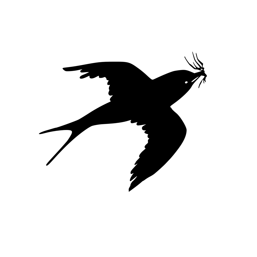 Птица svg. Силуэт птицы. Тень птицы. Птица тень красивая. Тень птицы рисунок.