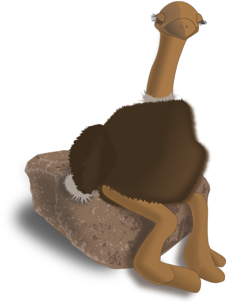 Download Ostrich PNG, SVG Clip art for Web - Download Clip Art, PNG ...