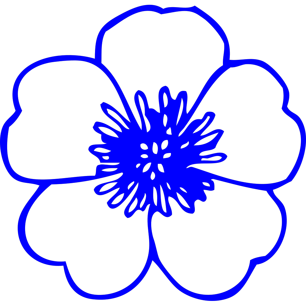 drawing of a flower in colour torrent