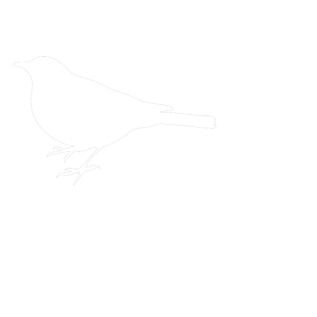White Bird PNG, SVG Clip art for Web - Download Clip Art, PNG Icon Arts