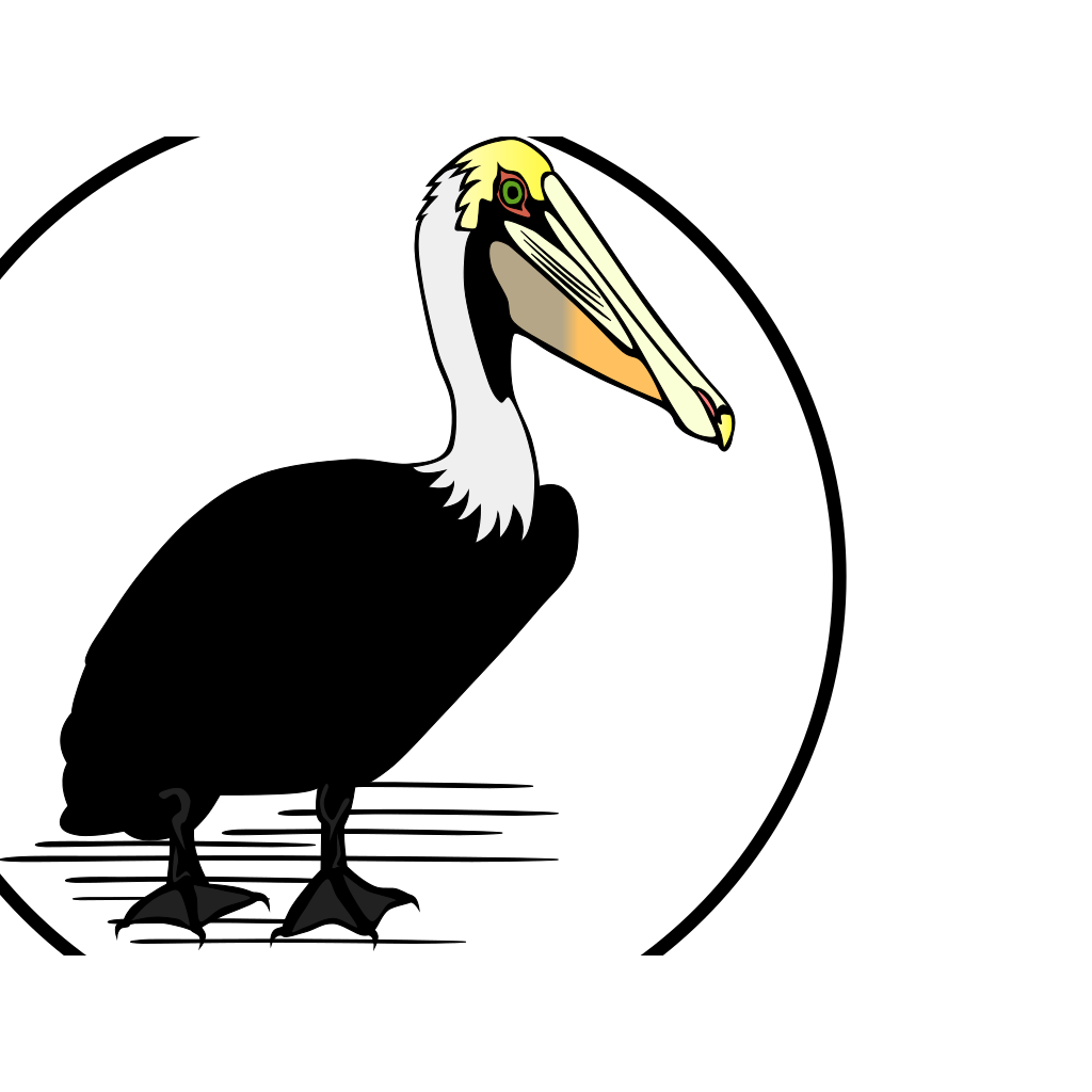Download Pelican PNG, SVG Clip art for Web - Download Clip Art, PNG ...