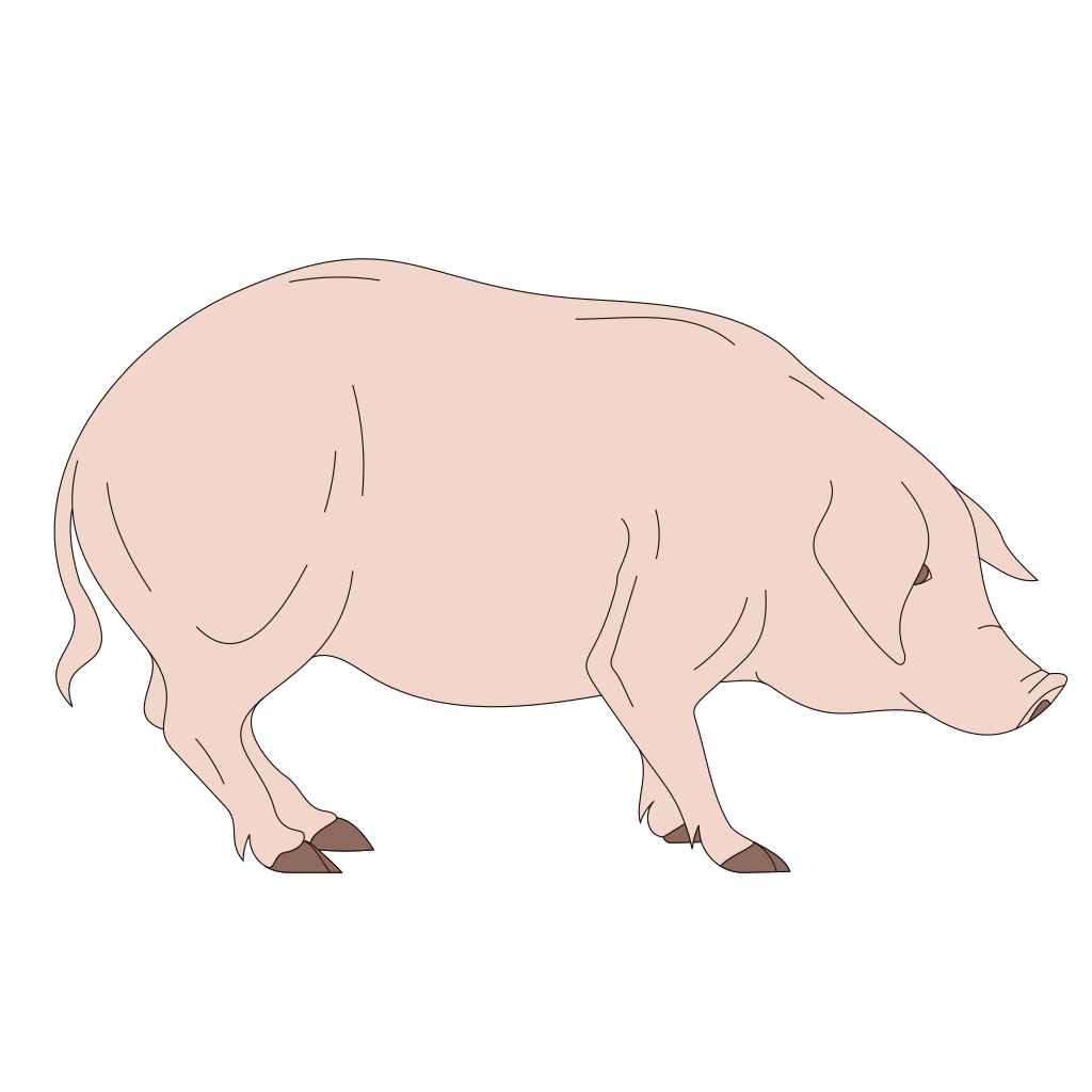 Download Standing Pig PNG, SVG Clip art for Web - Download Clip Art ...