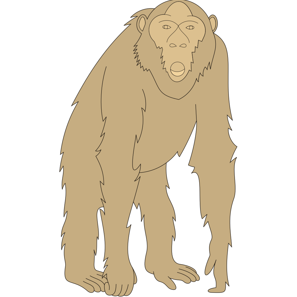 Download Staring Monkey PNG, SVG Clip art for Web - Download Clip Art, PNG Icon Arts