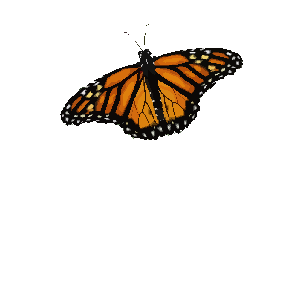 Download Butterfly PNG, SVG Clip art for Web - Download Clip Art ...