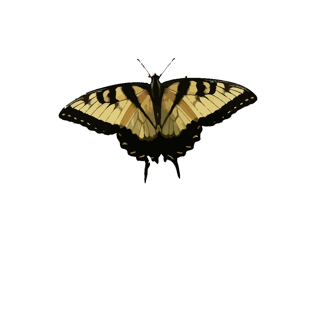 Download Butterfly PNG, SVG Clip art for Web - Download Clip Art ...