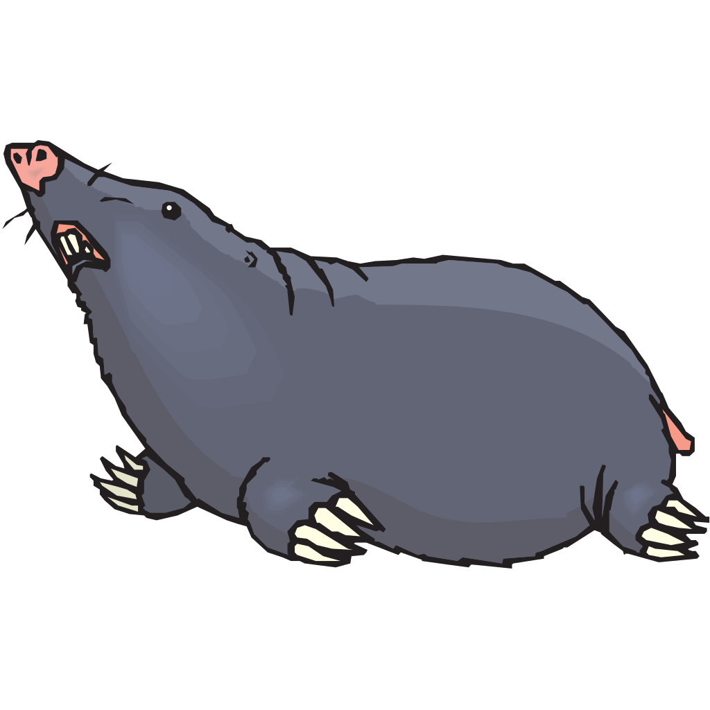 Mole Looking Up PNG, SVG Clip art for Web - Download Clip Art, PNG Icon