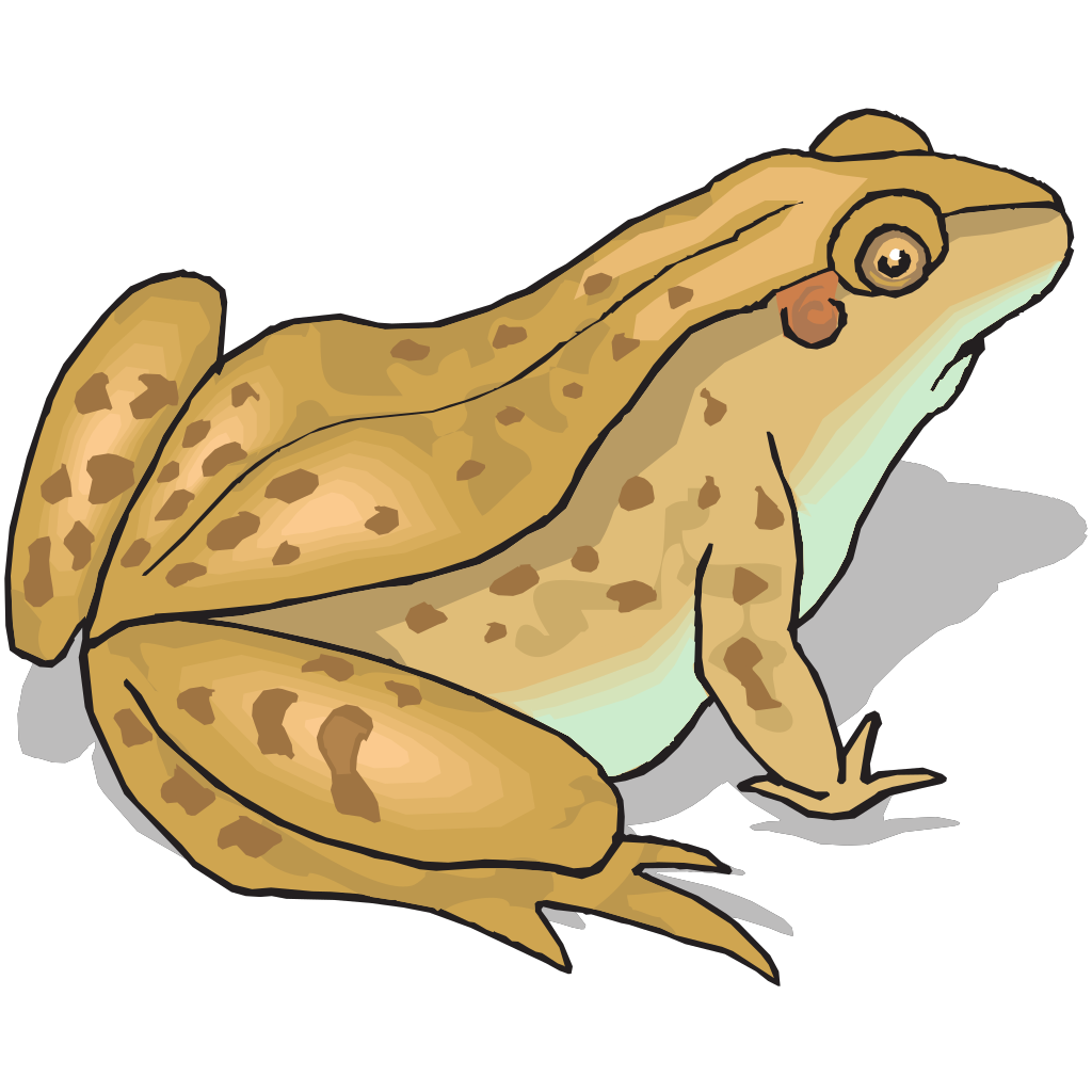 Brown Spotted Frog Png Svg Clip Art For Web Download Clip Art Png