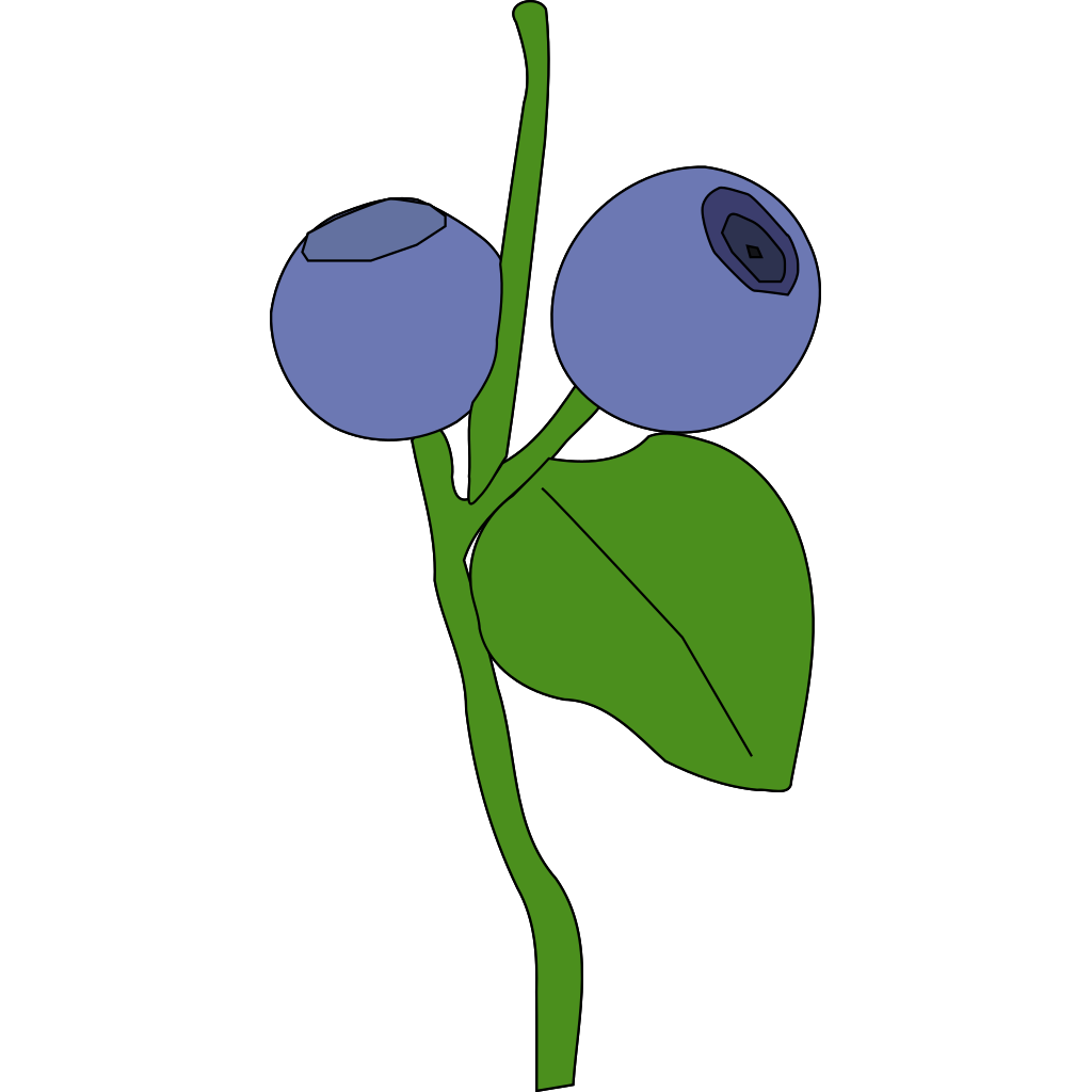 Download Blue Berry PNG, SVG Clip art for Web - Download Clip Art ...