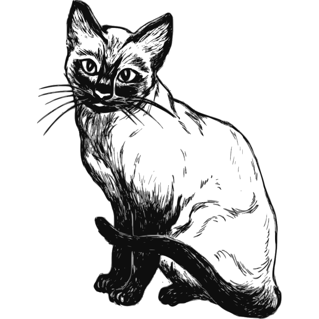 Кошка чб рисунок