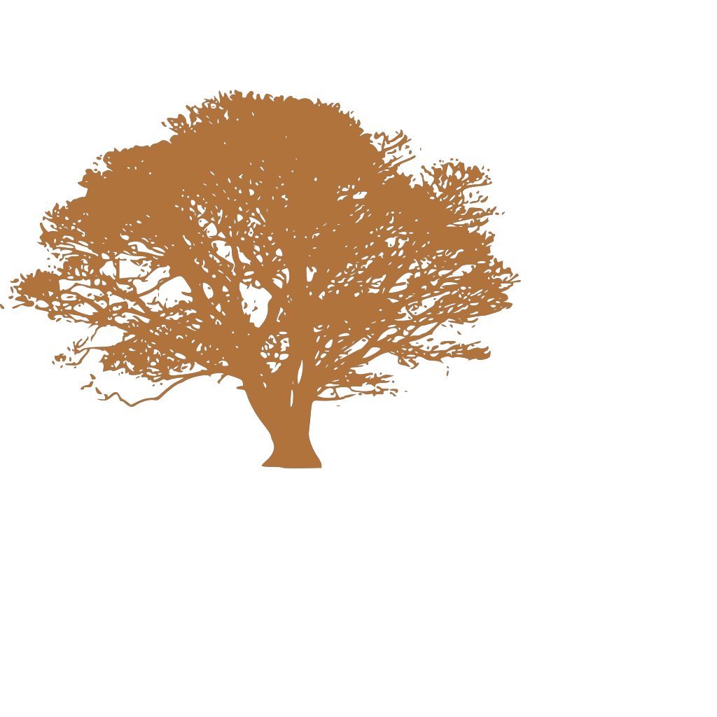 Brown Tree Branch PNG, SVG Clip art for Web - Download Clip Art, PNG