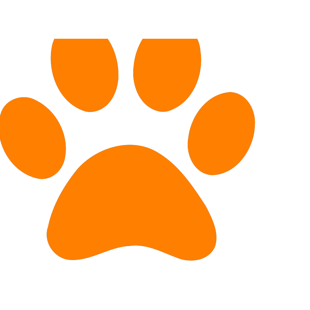 Green Paw Print PNG, SVG Clip art for  Download Clip Art, PNG Icon