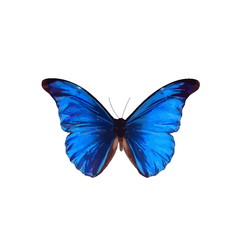 Free Free 267 Butterfly Svg Png SVG PNG EPS DXF File