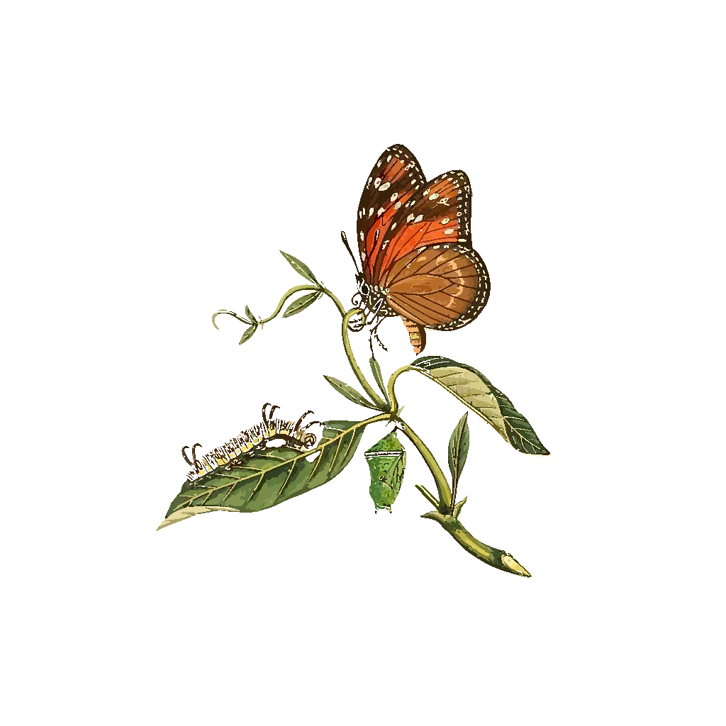 Free Free Butterfly Clip Art Svg 243 SVG PNG EPS DXF File