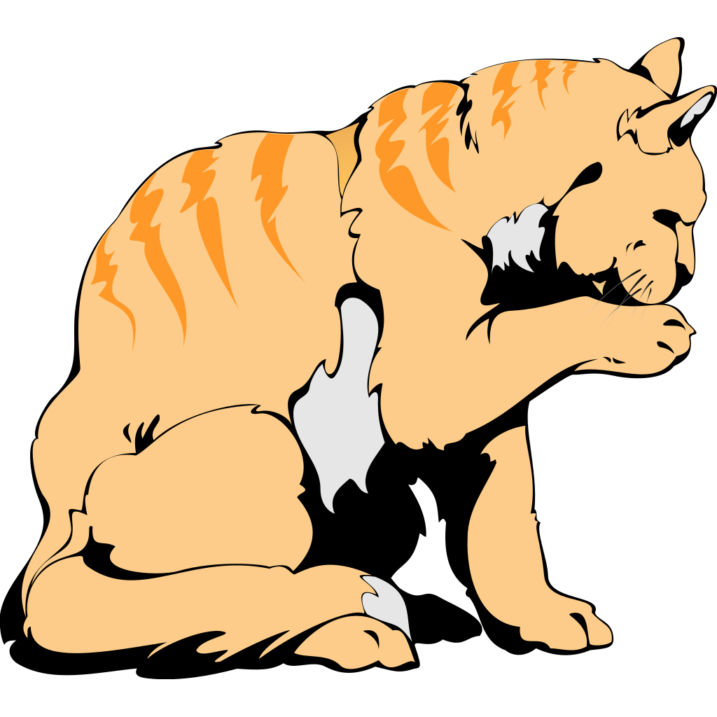 Orange Cat PNG, SVG Clip art for  Download Clip Art, PNG Icon Arts