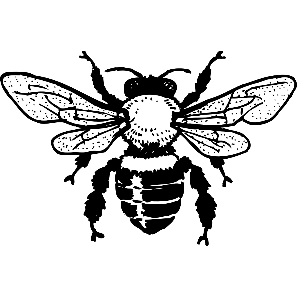 Download Honey Bee PNG, SVG Clip art for Web - Download Clip Art ...