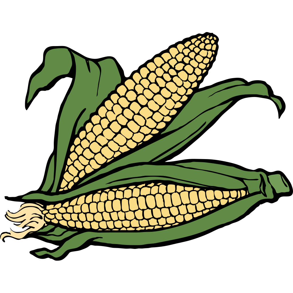 Corn PNG, SVG Clip art for  Download Clip Art, PNG Icon Arts